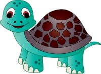 a cute turtle friend